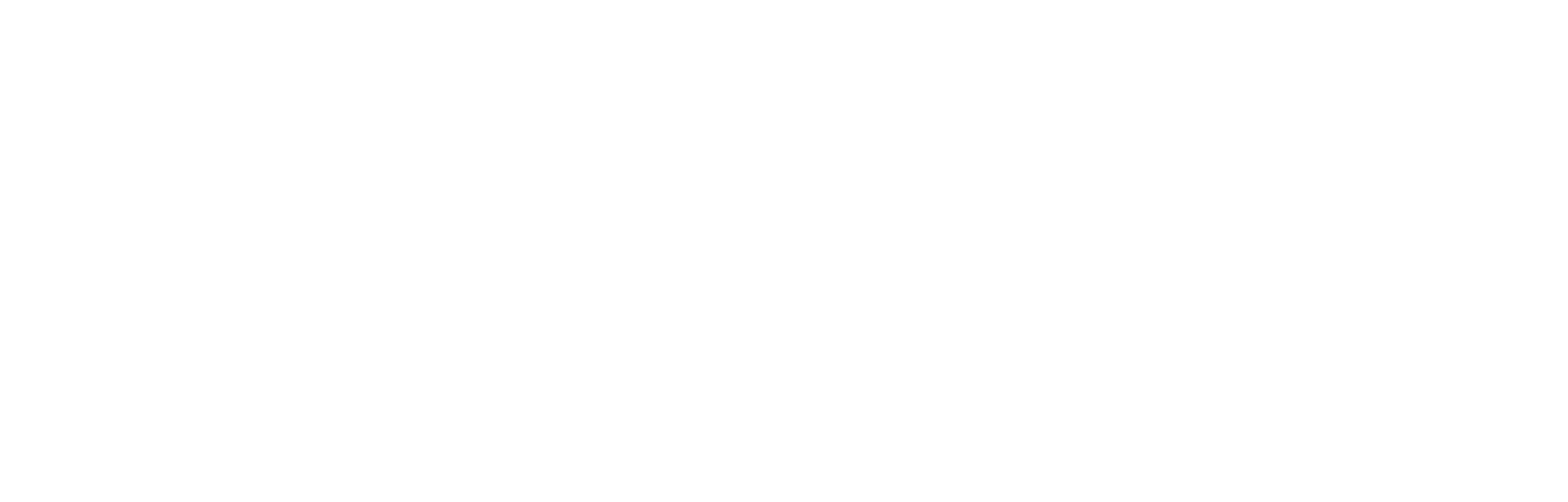 logo blanc horizontal